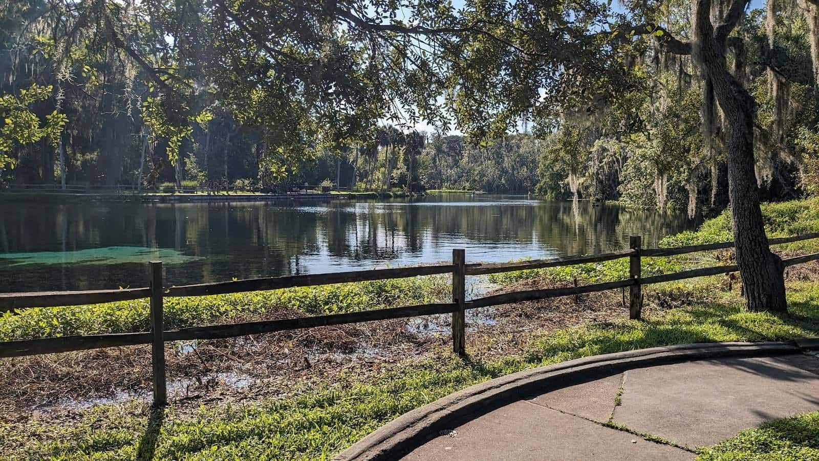 Spring-fed lake, Marion County, Florida